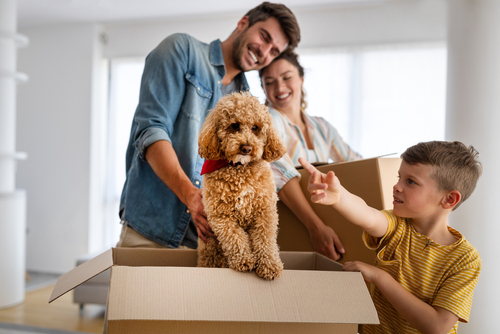 Do Landlords Have To Accept Pets AST Assistance